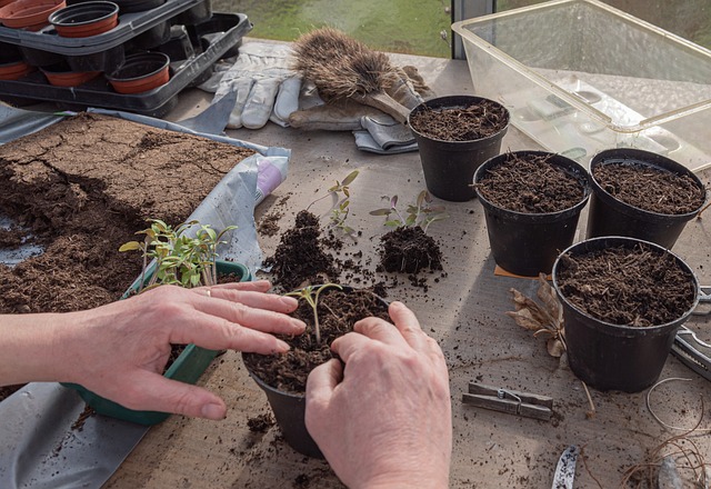 How to Cultivate a Growth-Oriented Business Culture