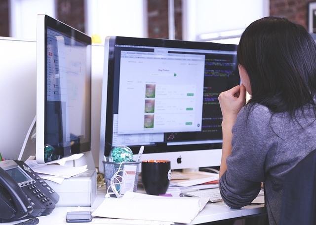 Why Are Some Business Cultures More Innovation-Friendly Than Others?